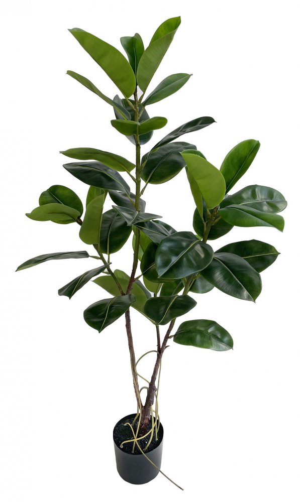 Искусственное Каучуковое дерево в горшке, 160 см