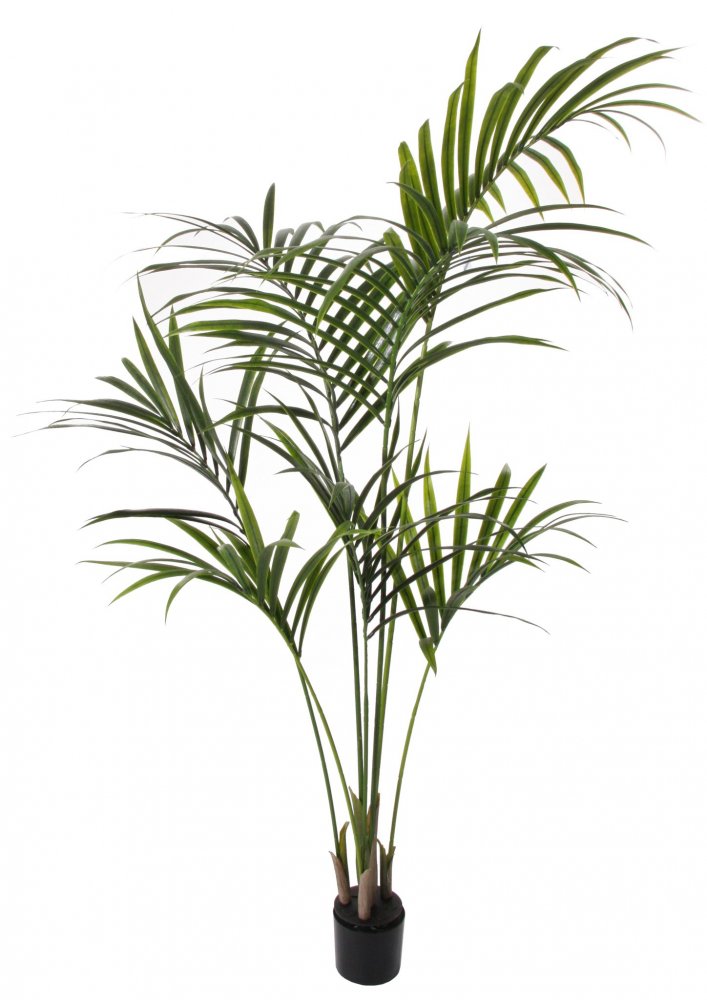 Искусственная пальма Кенматия (Ховея) в горшке, 160 см