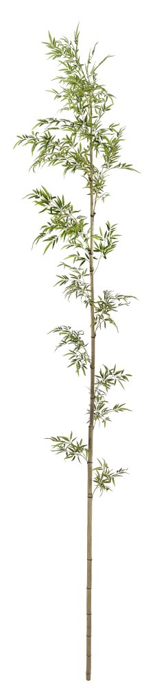 Бамбук натуральный с искусственными листьями 5 м