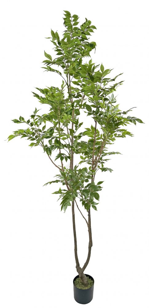 Искусственное Лаковое дерево в горшке, 210 см