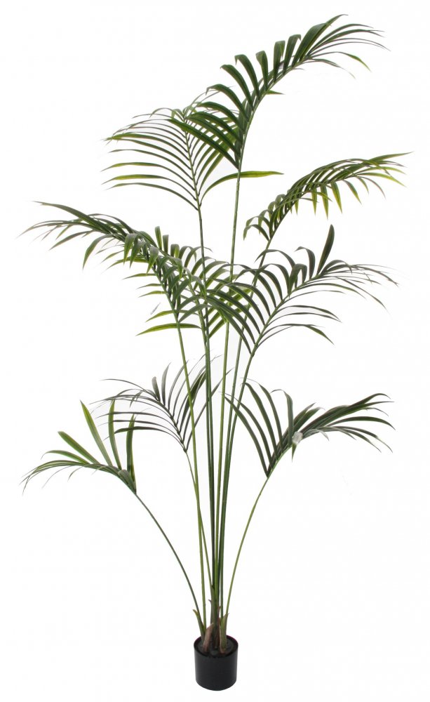 Искусственная пальма Кенматия (Ховея) в горшке, 210 см