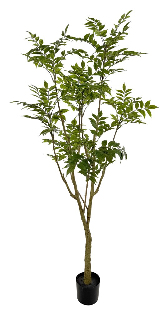Искусственное Лаковое дерево в горшке, 175 см