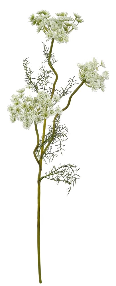 Кружево королевы Анны белое 95 см