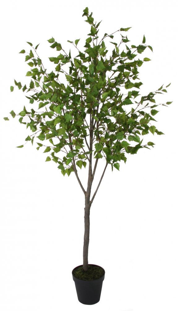 Искусственная Береза в горшке, 200 см