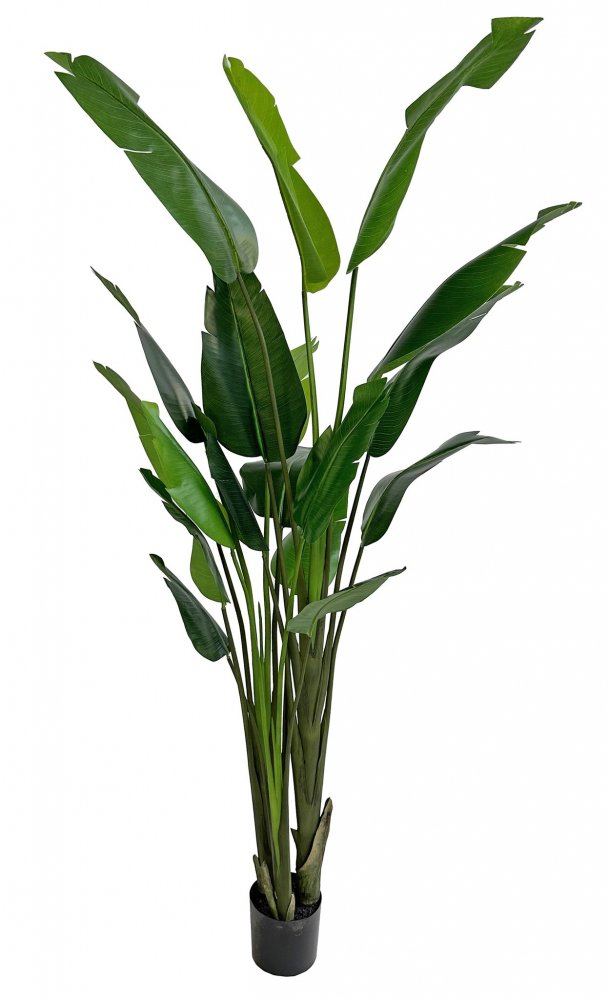 Искусственная пальма путешественника в горшке, 240 см
