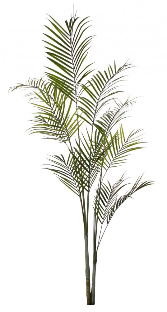 Искусственная пальма Арека, 200 см