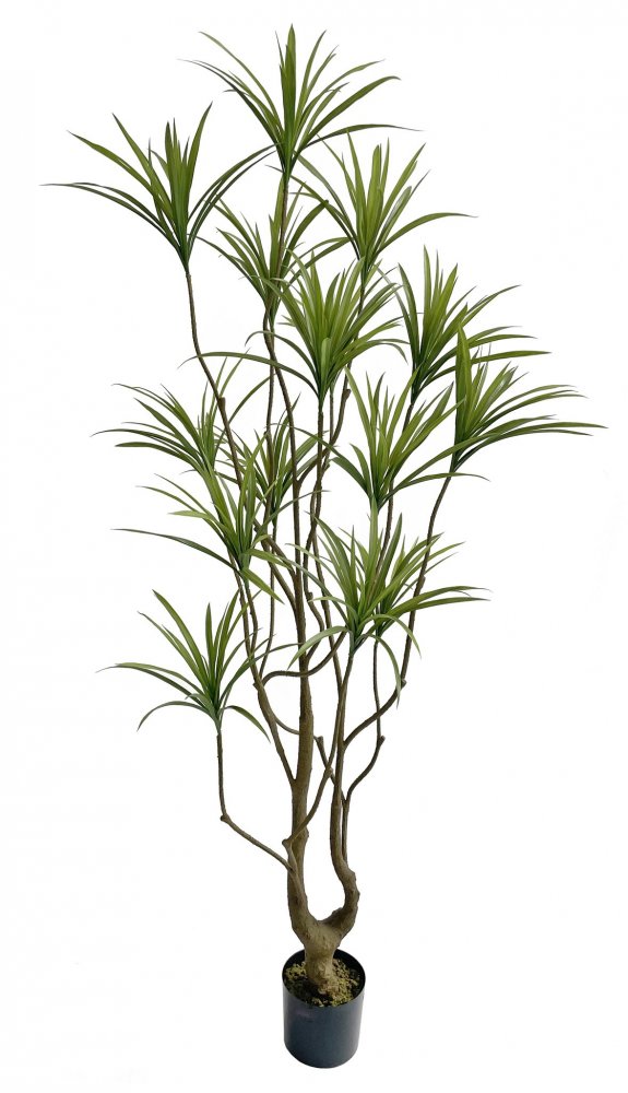 Искусственная Драцена в горшке, 210 см