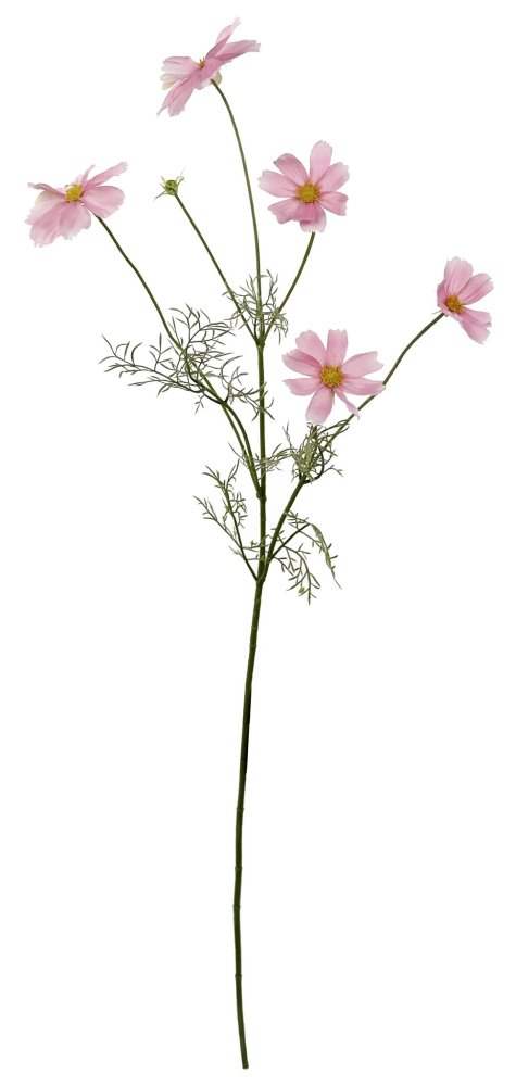 Cosmos розовый 90 см