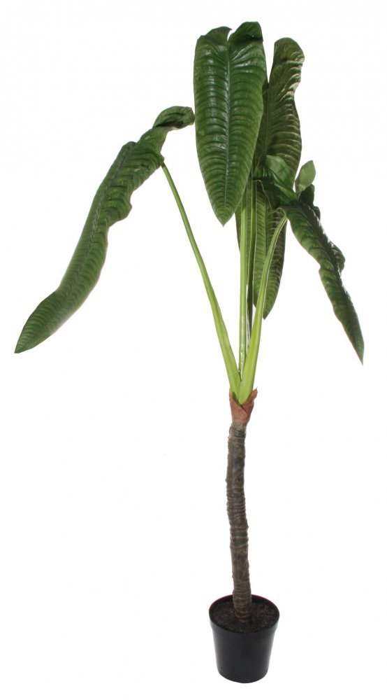 Искусственная Колоказия (Ухо слона) в горшке, 240 см