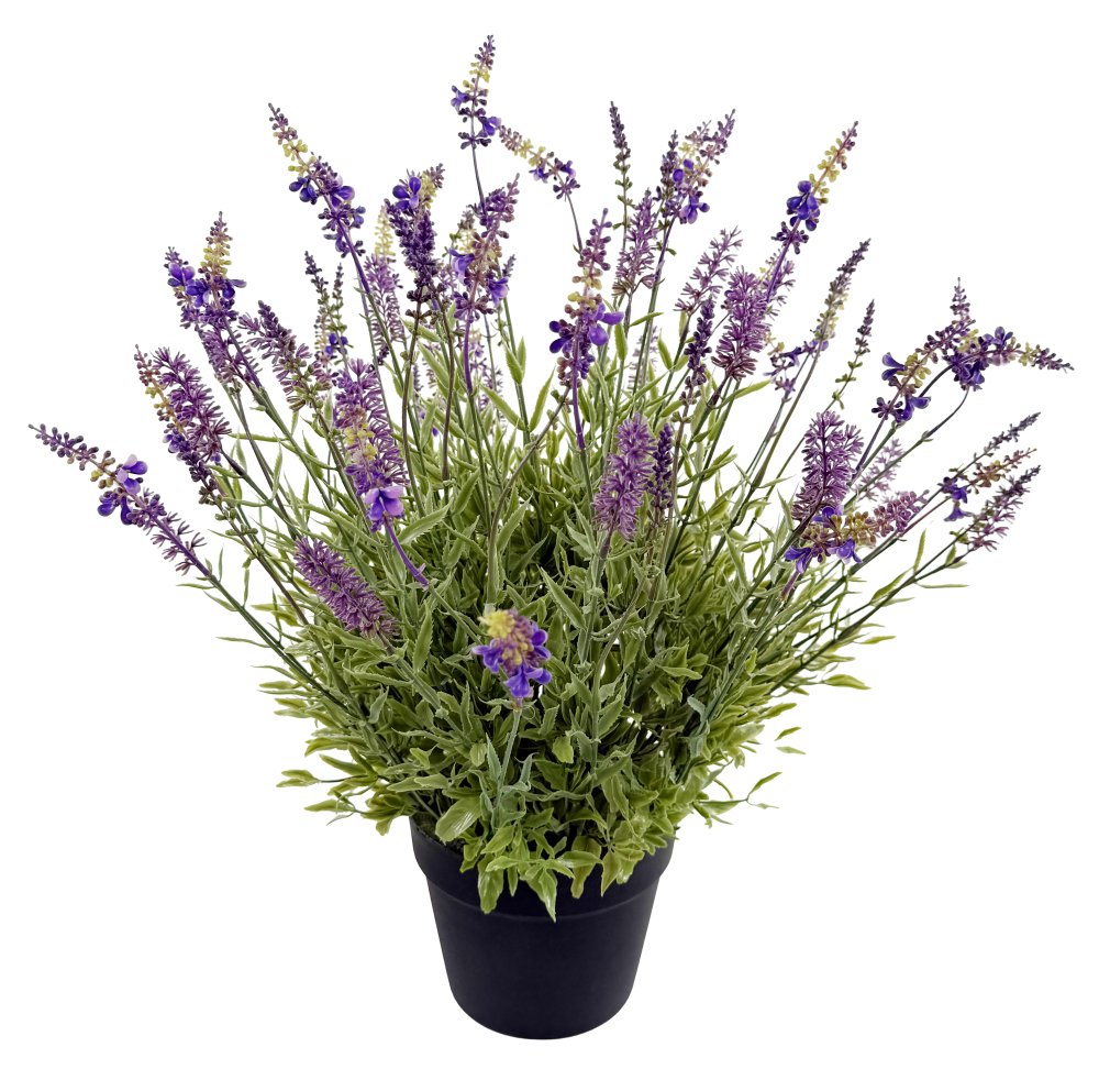 Лаванда в горшке 55 см