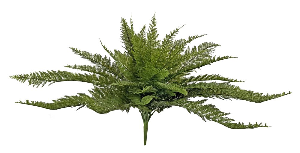 Папоротник кустовой зеленый 65 см