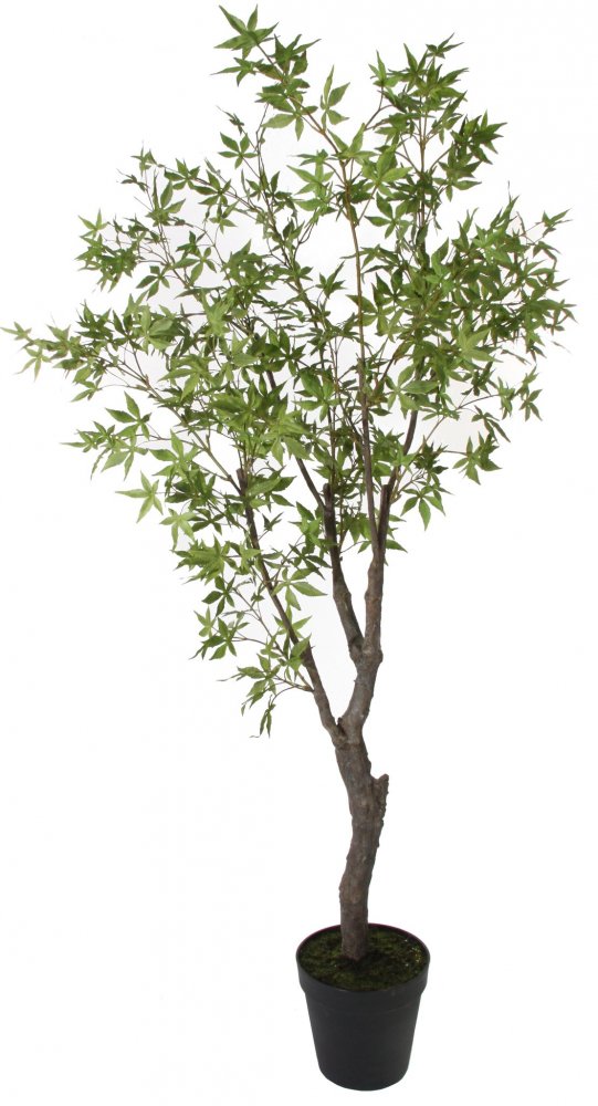 Искусственный Клен, 220 см