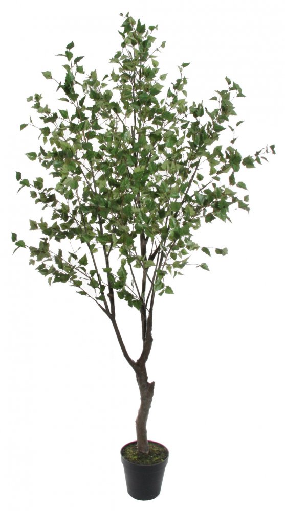 Искусственная Береза в горшке, 275 см