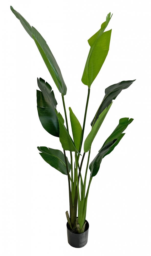 Искусственная пальма Путешественница в горшке, 165 см