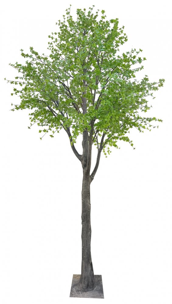 Искусственное дерево Энкиантус Перлатус, 5 м