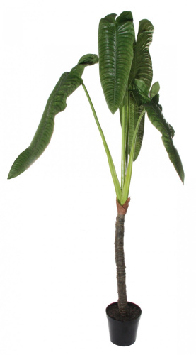 Искусственная Колоказия (Ухо слона) в горшке, 240 см