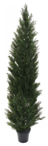 Искусственный Кедр в горшке, 210 см