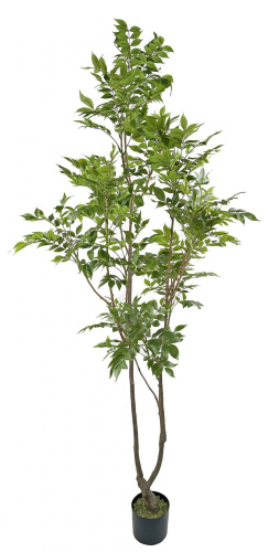 Искусственное Лаковое дерево в горшке, 210 см