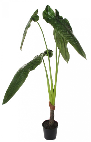 Искусственная Колоказия (Ухо слона) в горшке, 185 см