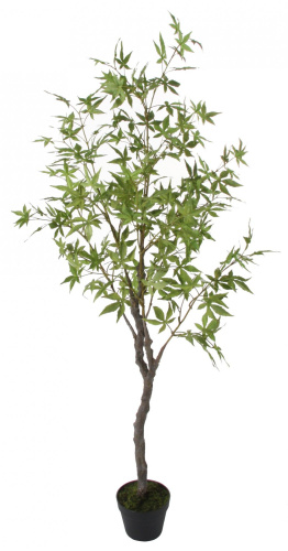 Искусственный Клен, 160 см