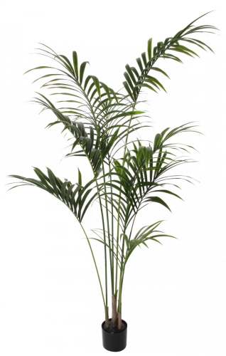 Искусственная пальма Кенматия (Ховея) в горшке, 190 см