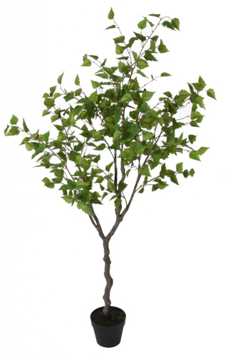 Искусственная Береза в горшке, 160 см