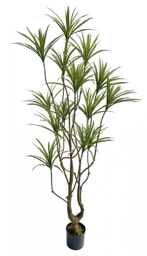 Искусственная Драцена в горшке, 210 см