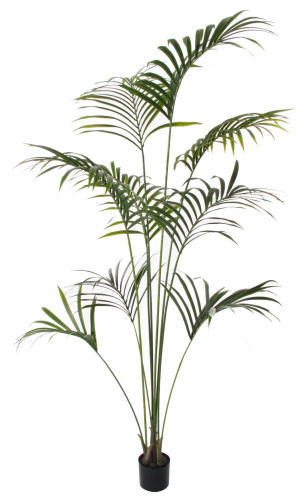 Искусственная пальма Кенматия (Ховея) в горшке, 210 см