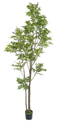 Искусственное Лаковое дерево в горшке, 250 см