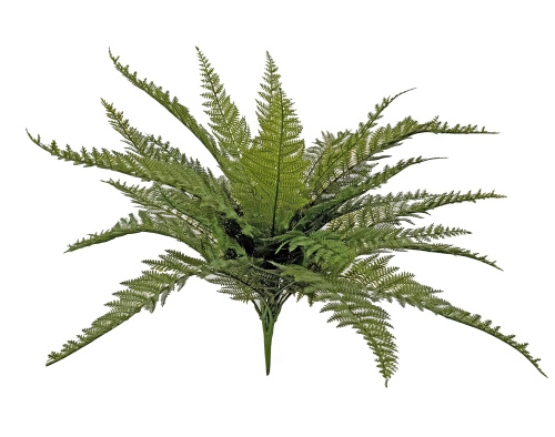 Куст папоротника зеленый 55 см