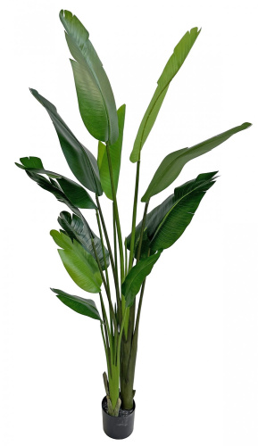 Искусственная пальма путешественника в горшке, 185 см