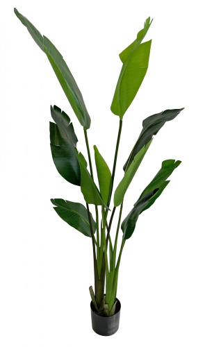 Искусственная пальма Путешественница в горшке, 165 см