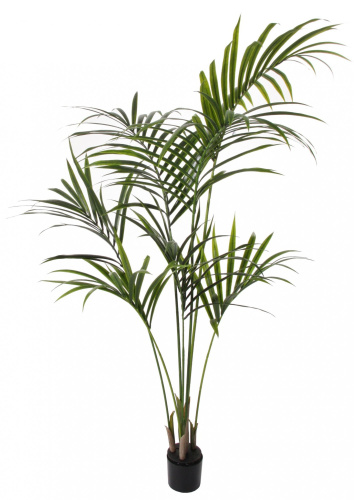 Искусственная пальма Кенматия (Ховея) в горшке, 160 см