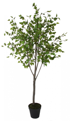 Искусственная Береза в горшке, 200 см